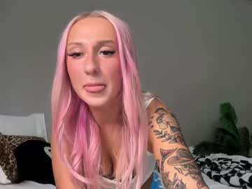 stellacorbet